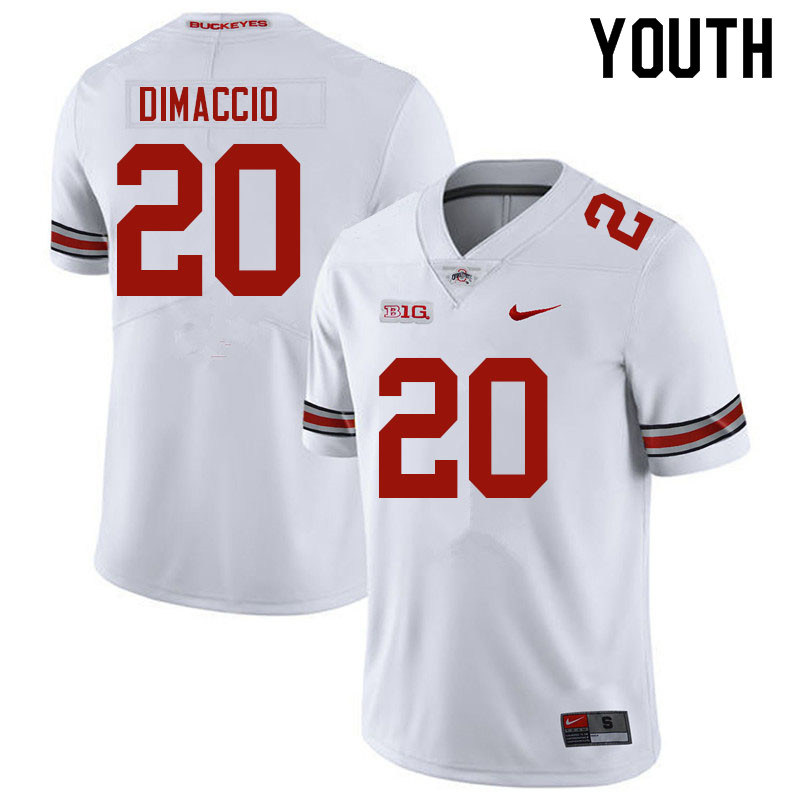 Ohio State Buckeyes Dominic DiMaccio Youth #20 White Authentic Stitched College Football Jersey